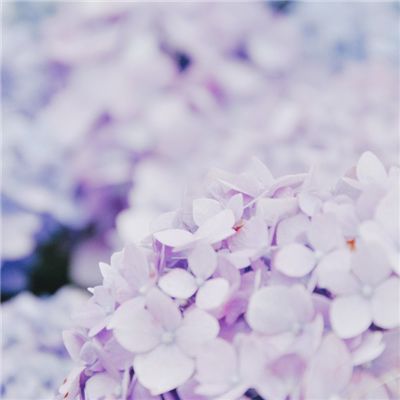 侠客外传九游手游下载
